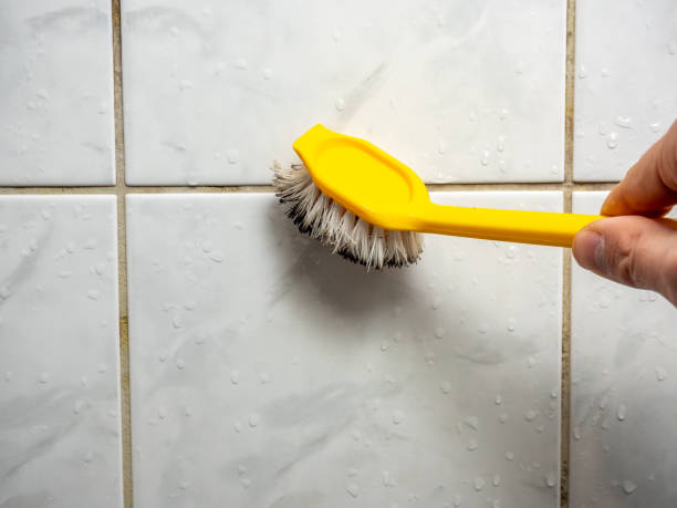 Best Toxic Mold Removal  in Lemont, IL